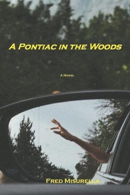 A Pontiac in the Woods 1