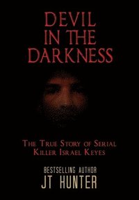 bokomslag Devil in the Darkness