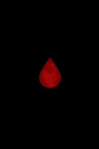 bokomslag Bleed