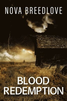 bokomslag Blood Redemption