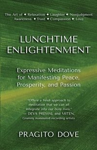 bokomslag Lunchtime Enlightenment