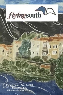 Flying South 2020 1