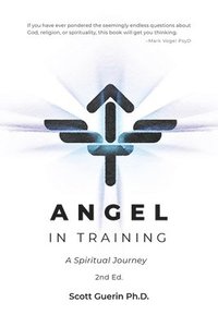 bokomslag Angel In Training