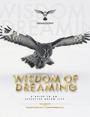 Wisdom of Dreaming 1