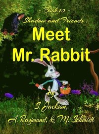 bokomslag Shadow and Friends Meet Mr. Rabbit