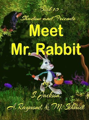 Shadow and Friends Meet Mr. Rabbit 1