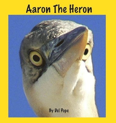 bokomslag Aaron The Heron