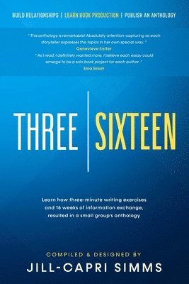 Three Sixteen: Build Relationships, Learn Book Production, Publish an Anthology 1