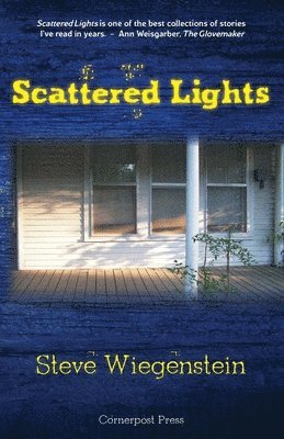 bokomslag Scattered Lights
