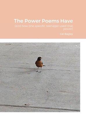bokomslag The Power Poems Have