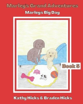 bokomslag Marley's Grand Adventures: Marley's Big Day