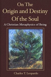 bokomslag On the Origin and Destiny of the Soul: A Christian Metaphysics of Being