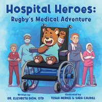 bokomslag Hospital Heroes
