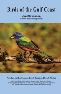 bokomslag Birds of the Gulf Coast