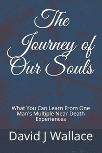 bokomslag The Journey of Our Souls: What You Can Learn From One Man's Multiple Near-Death Experiences