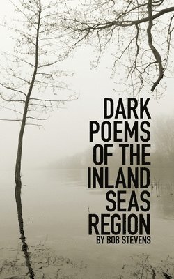 Bob Stevens - Dark Poems of the Inland Seas Region, Häftad