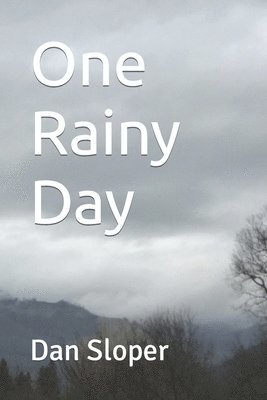 bokomslag One Rainy Day