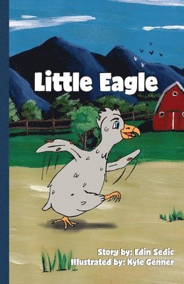 Little Eagle 1