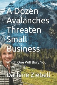 bokomslag A Dozen Avalanches Threaten Small Business: Which One Will Bury You Alive?