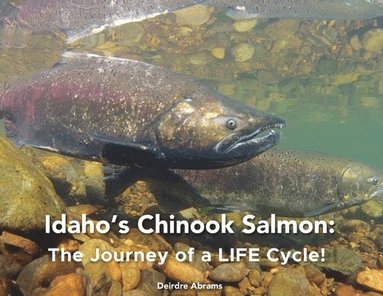 bokomslag Idaho's Chinook Salmon