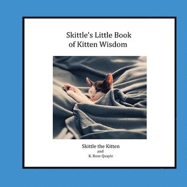 bokomslag Skittle's Little Book of Kitten Wisdom