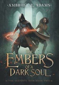 bokomslag Embers of a Dark Soul