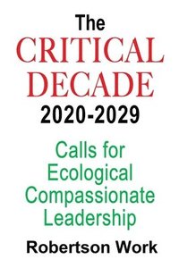 bokomslag The Critical Decade 2020 - 2029