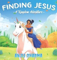 bokomslag Finding Jesus