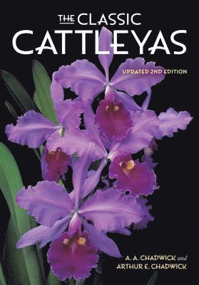 bokomslag Classic Cattleyas