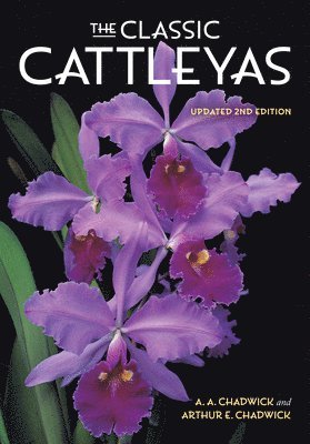 The Classic Cattleyas 1