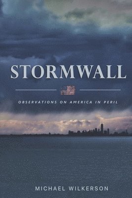 bokomslag Stormwall: Observations on America in Peril