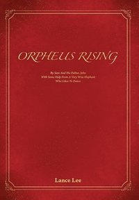 bokomslag Orpheus Rising