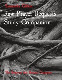 bokomslag Raw Prayer Requests Study Companion