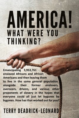 America! What Were You Thinking? 1