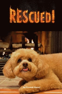 Rescued! 1