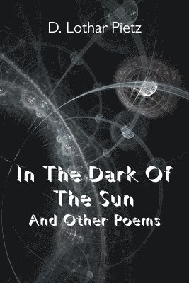 D Lothar Pietz, D. Lothar Pietz - In The Dark Of The Sun, Häftad