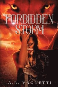 bokomslag Forbidden Storm