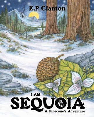 bokomslag I Am Sequoia - A Pinecone's Adventure
