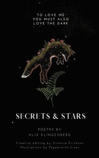 bokomslag Secrets and Stars