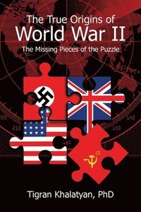 bokomslag The True Origins of World War II