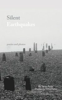 bokomslag Silent Earthquakes
