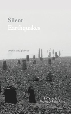 Silent Earthquakes 1