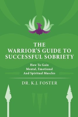 bokomslag Warrior's Guide to Successful Sobriety