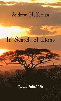 Andrew Heffernan - In Search of Lions, Inbunden