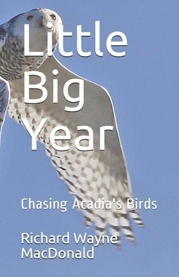 bokomslag Little Big Year: Chasing Acadia's Birds