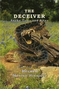 bokomslag The Deceiver