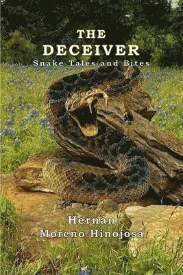 bokomslag The Deceiver