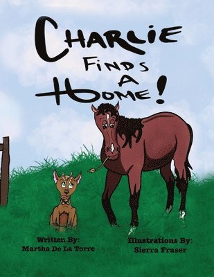 bokomslag Charlie Finds A Home