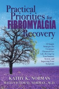 bokomslag Practical Priorities for Fibromyalgia Recovery: 12 Simple Strategies for Creating a Chemical-Free Life, Revving Up Your Immune System, and Improving Y