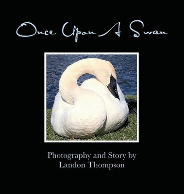 bokomslag Once Upon A Swan